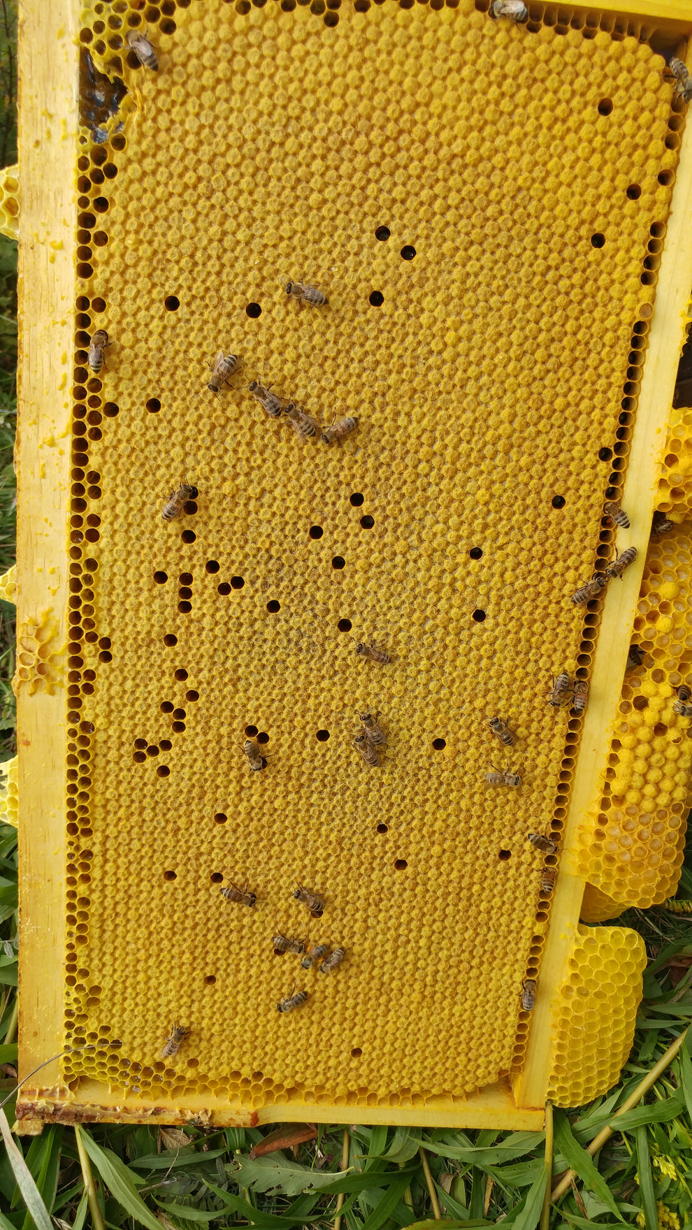 20190829_131718.jpg